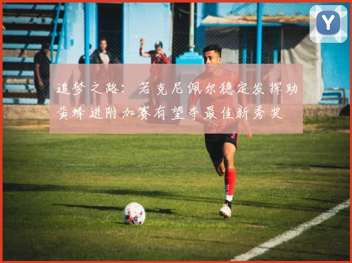 追梦之路：若克尼佩尔稳定发挥助黄蜂进附加赛有望夺最佳新秀奖